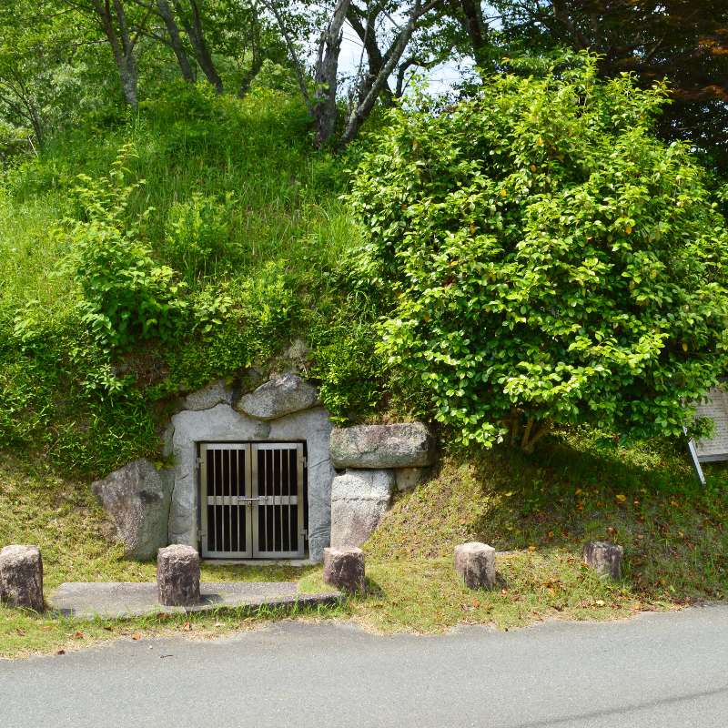 水泥南古墳（奈良県御所市）の写真・外観