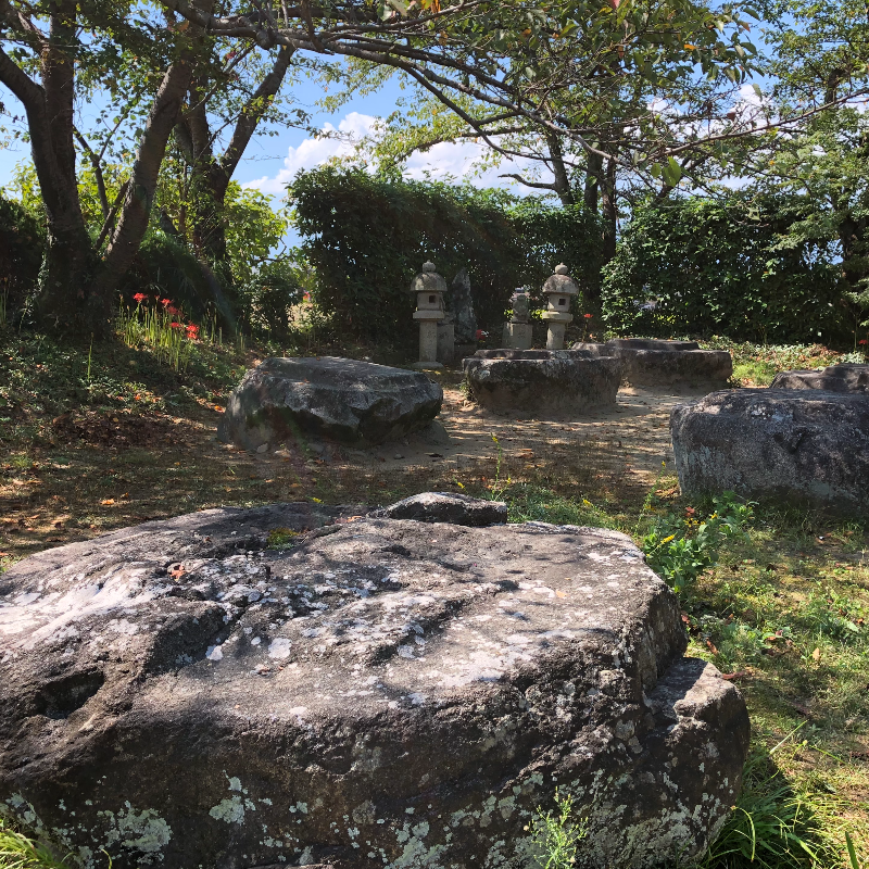 本薬師寺跡(奈良県橿原市)の写真・外観