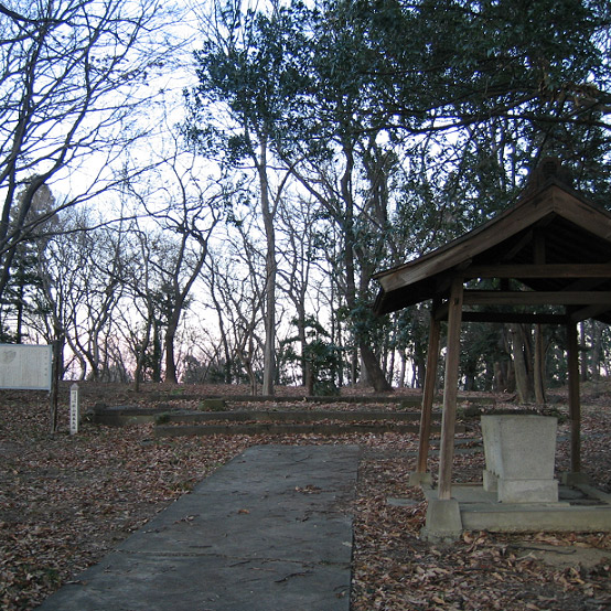 松山城（埼玉県吉見町）の写真・外観
