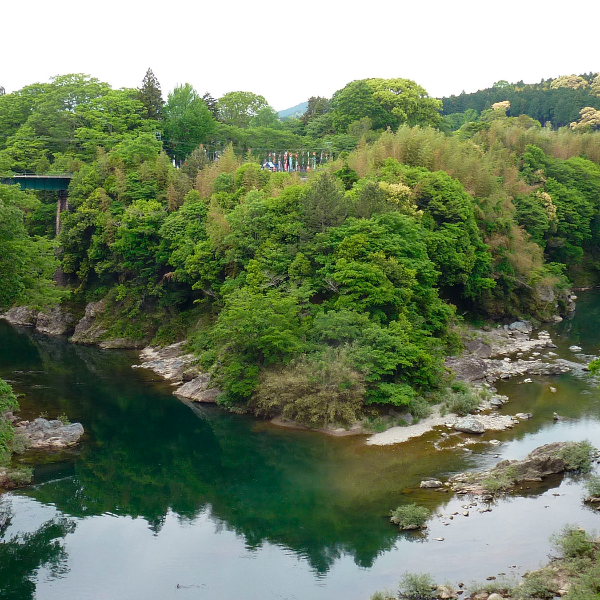 長篠城跡(愛知県新城市)の写真・外観