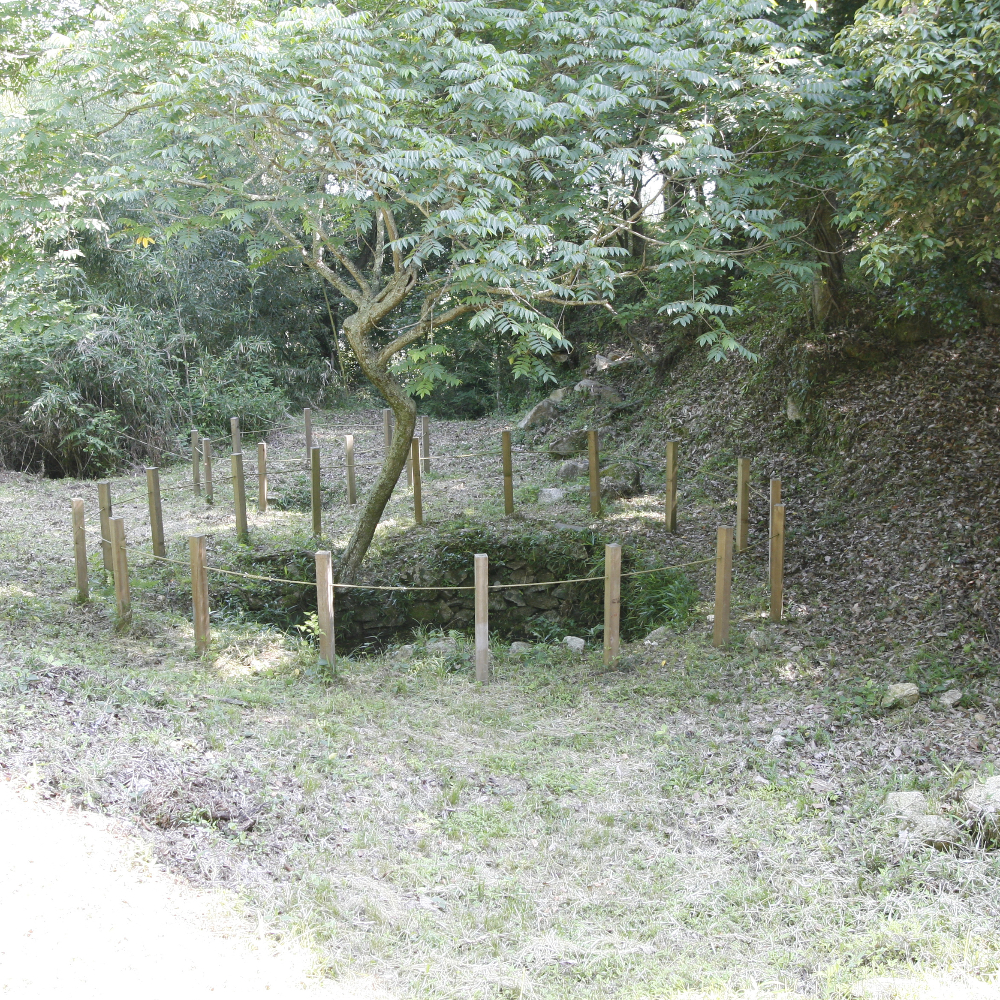 新高山城跡（広島県三原市）の写真・外観