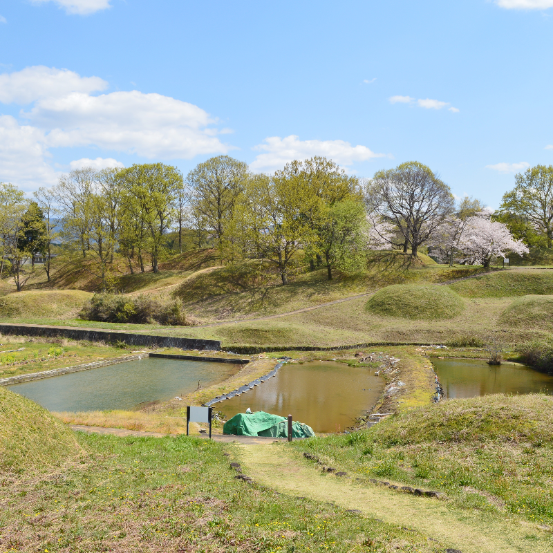 新沢千塚古墳群（奈良県橿原市）の写真・外観