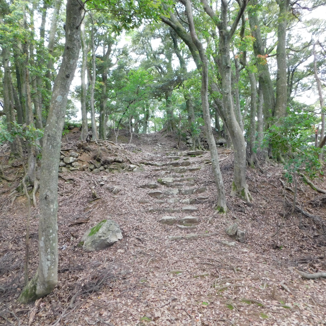 後瀬山城(福井県小浜市)の写真・外観