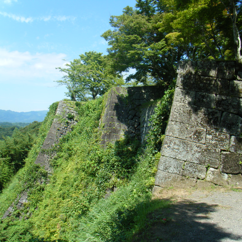 岡城跡（大分県竹田市）の写真・外観