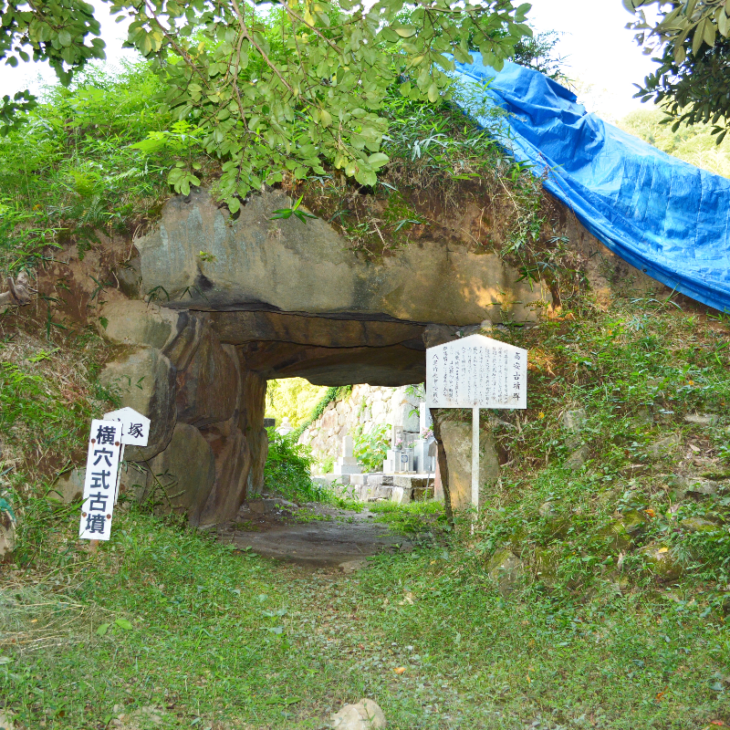 高安古墳群（大阪府八尾市）の写真・外観