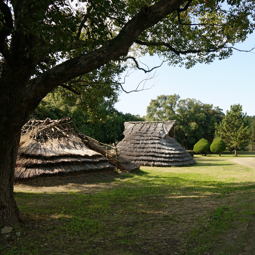 大中遺跡(兵庫県播磨町)の写真・外観
