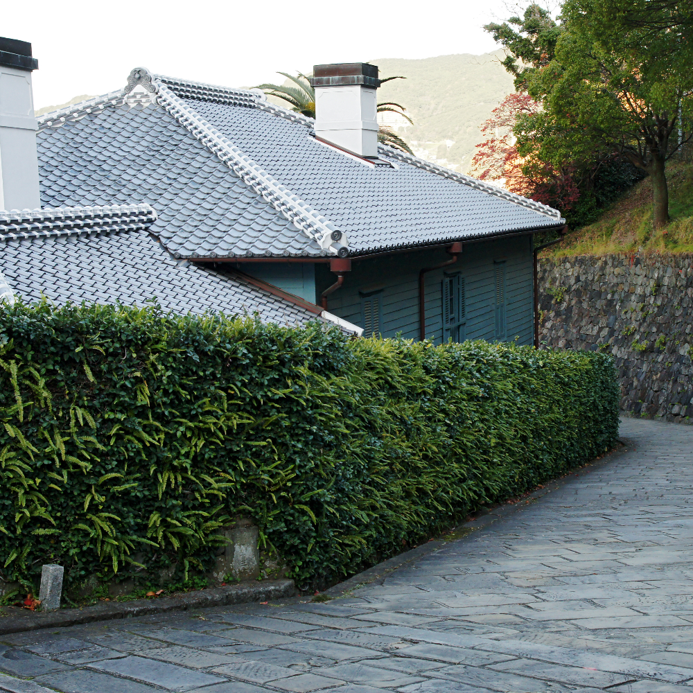 オランダ坂（長崎県長崎市）の写真・外観