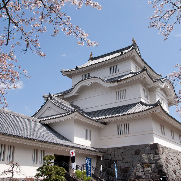 大多喜城（千葉県大多喜町）の写真・外観