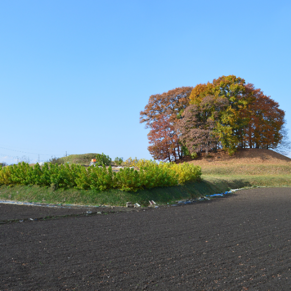大鶴巻古墳（群馬県高崎市）の写真・外観