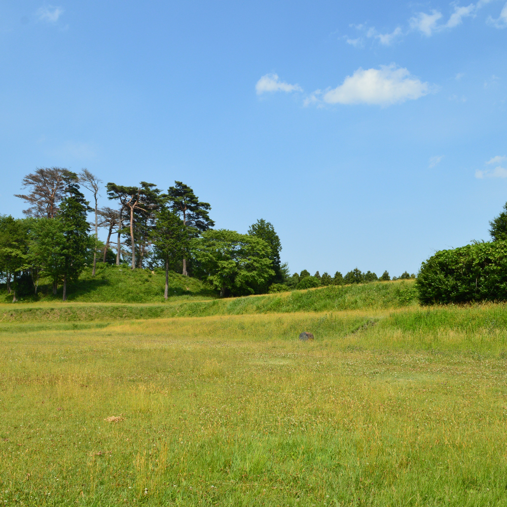 雷神山古墳（宮城県名取市）の写真・外観
