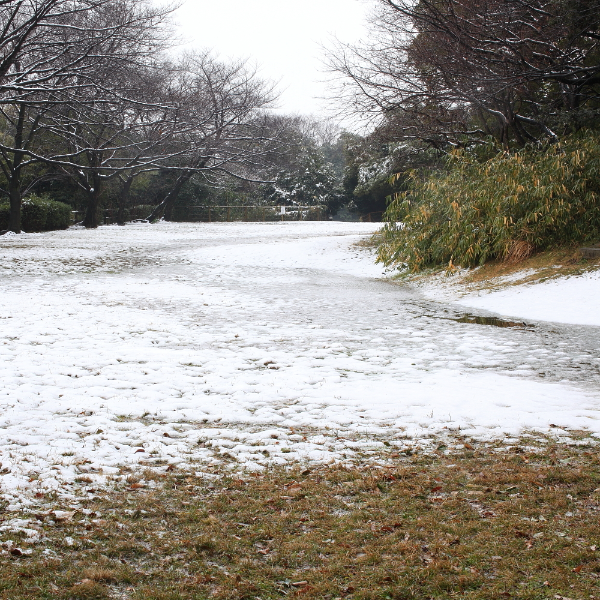 大高城跡（愛知県名古屋市）の写真・外観