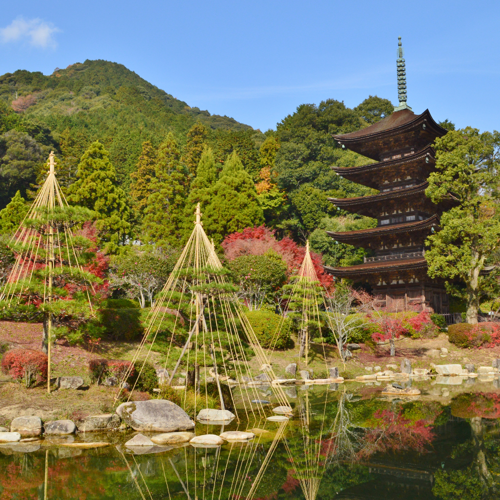 瑠璃光寺(山口県山口市)の写真・外観