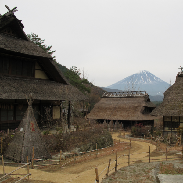 西湖いやしの里根場（山梨県富士河口湖町）の写真・外観