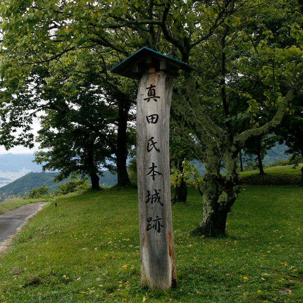 真田城跡(松尾城跡)（長野県上田市）の写真・外観