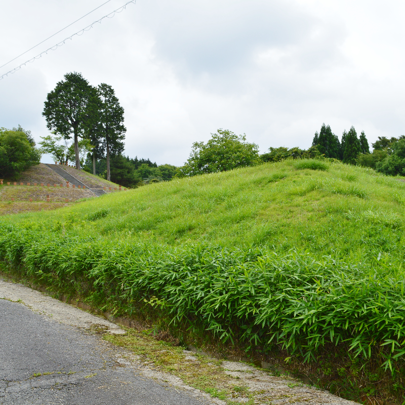 三陵墓東古墳（奈良県奈良市）の写真・外観