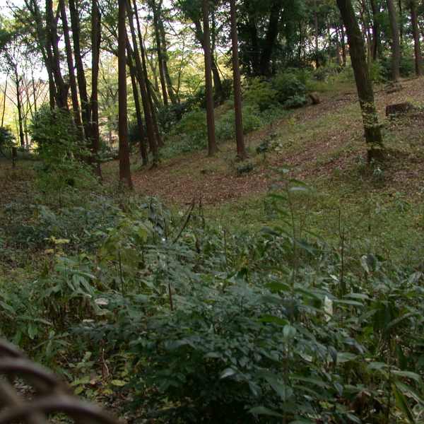 石神井城址（東京都練馬区）の写真・外観