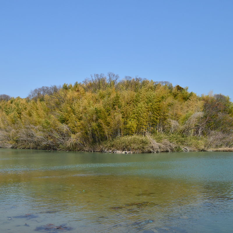 島の山古墳（奈良県川西町）の写真・外観