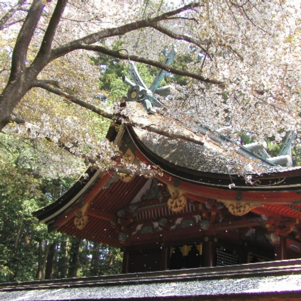 鹽竈神社(宮城県塩竈市)の写真・外観