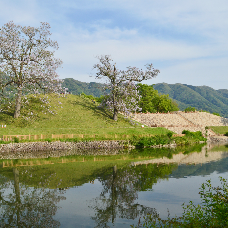 心合寺山古墳（大阪府八尾市）の写真・外観