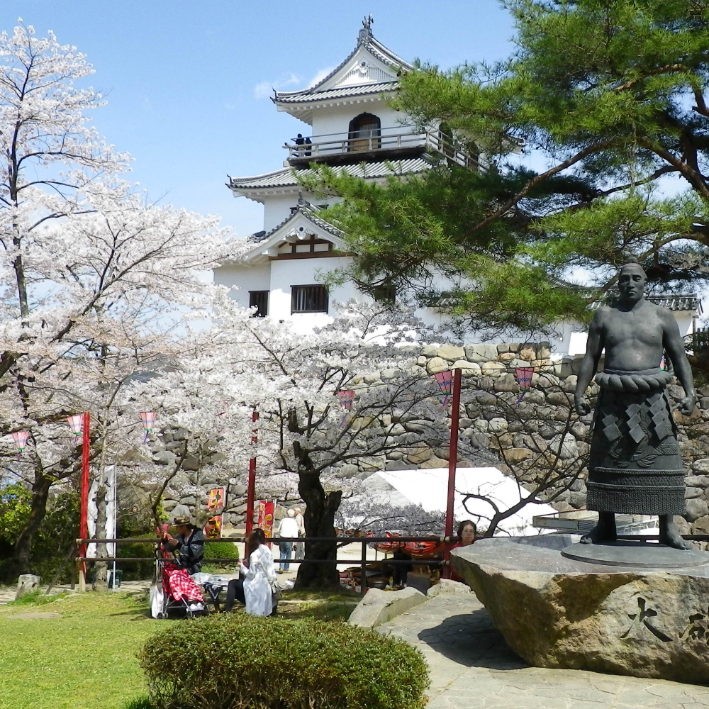 白石城（宮城県白石市）の写真・外観