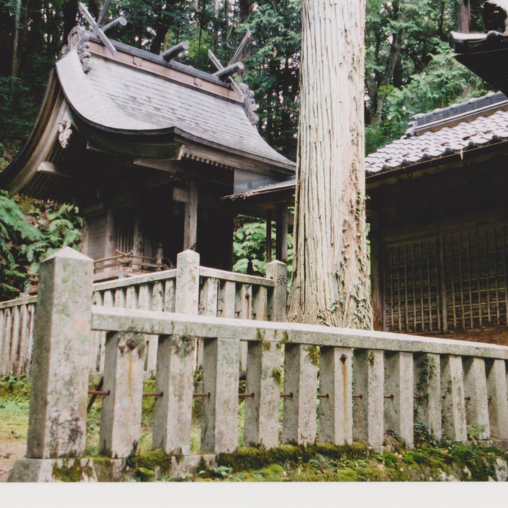 倭文神社（鳥取県湯梨浜町）の写真・外観