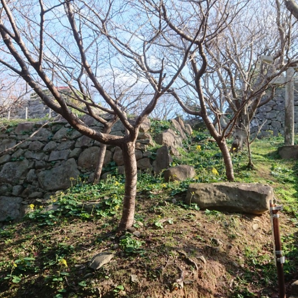 勝本城跡(長崎県壱岐市)の写真・外観