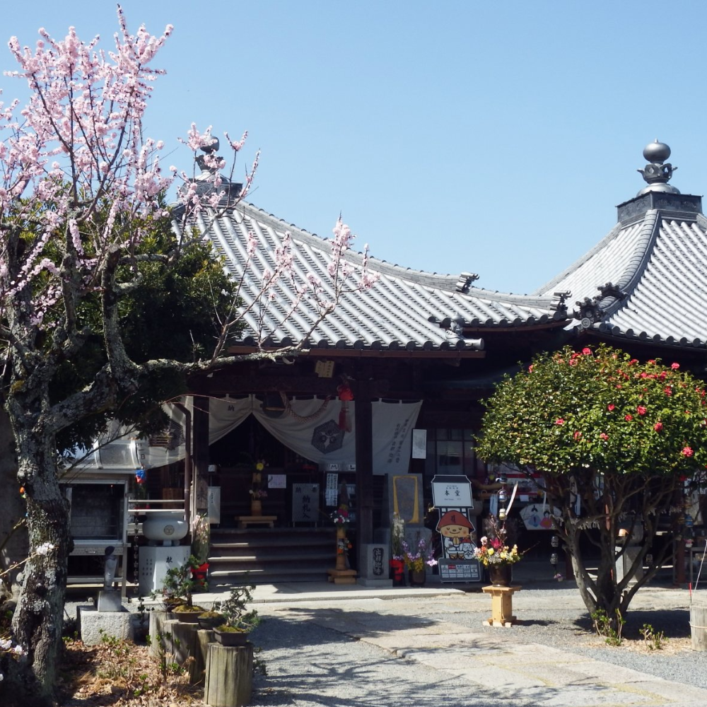出釈迦寺（香川県善通寺市）の写真・外観