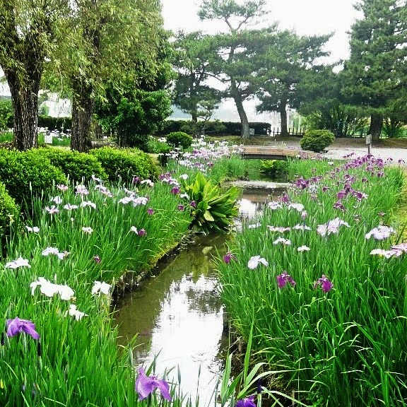 高瀬遺跡（富山県南砺市）の写真・外観