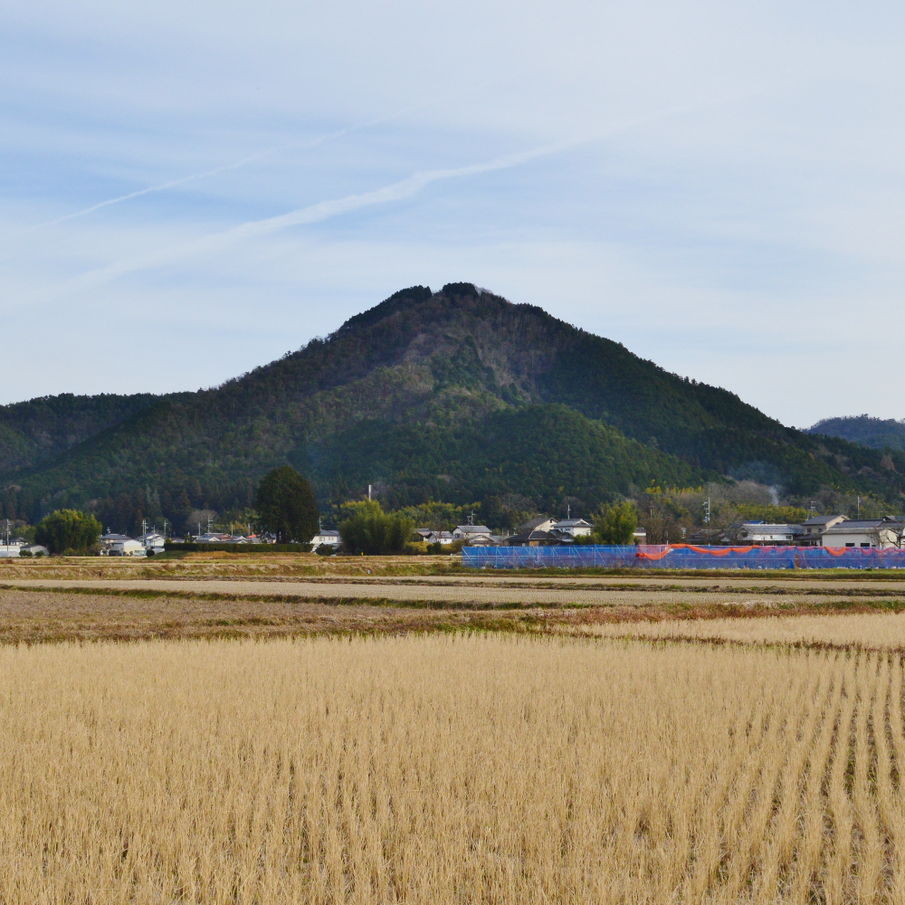八上城跡（兵庫県丹波篠山市）の写真・外観