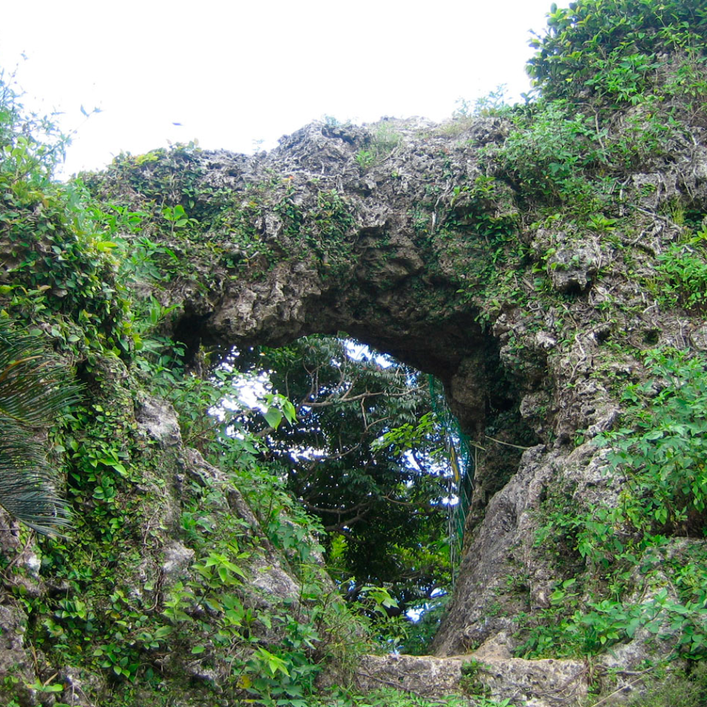 玉城城跡(沖縄県南城市)の写真・外観