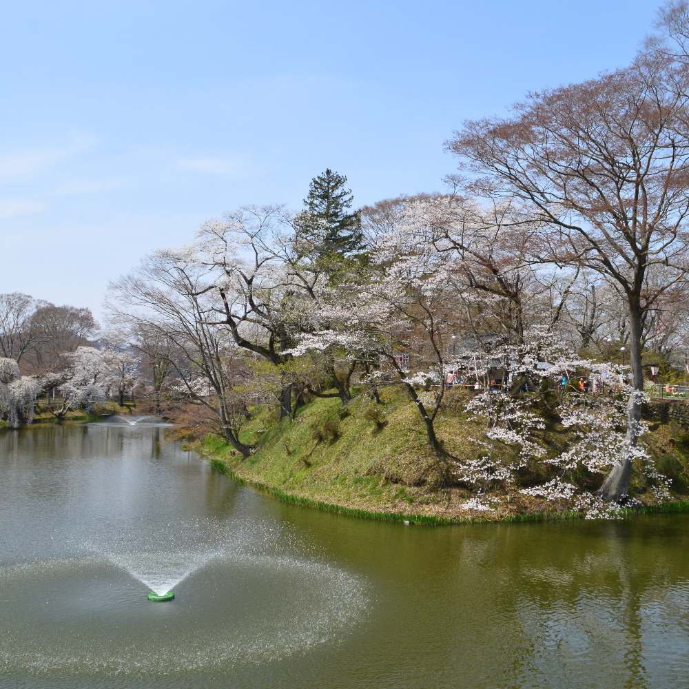 棚倉城跡（福島県棚倉町）の写真・外観