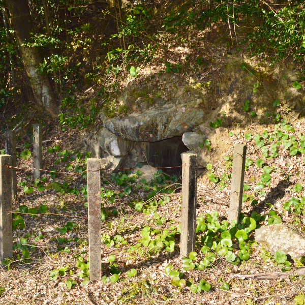 田の神古墳（愛知県蒲郡市）の写真・外観