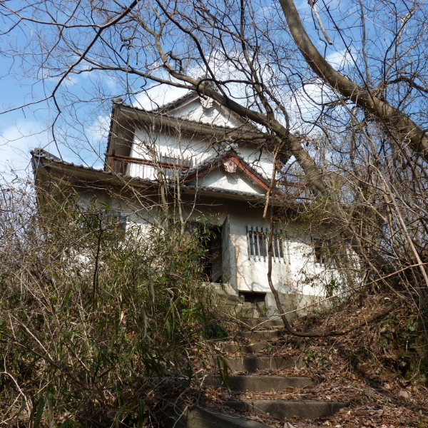天神山城（埼玉県長瀞町）の写真・外観