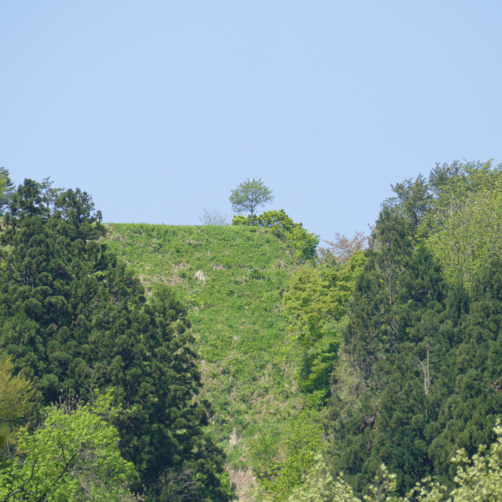 栃尾城(新潟県長岡市)の写真・外観