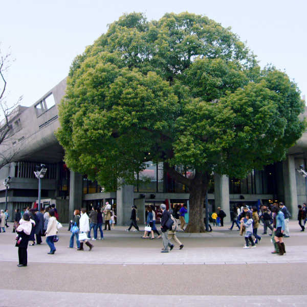 東京文化会館(東京都台東区)の写真・外観