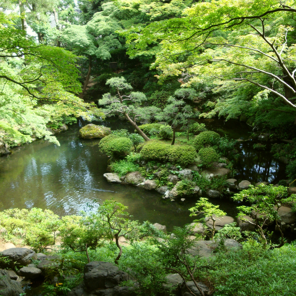 殿ヶ谷戸庭園（東京都国分寺市）の写真・外観