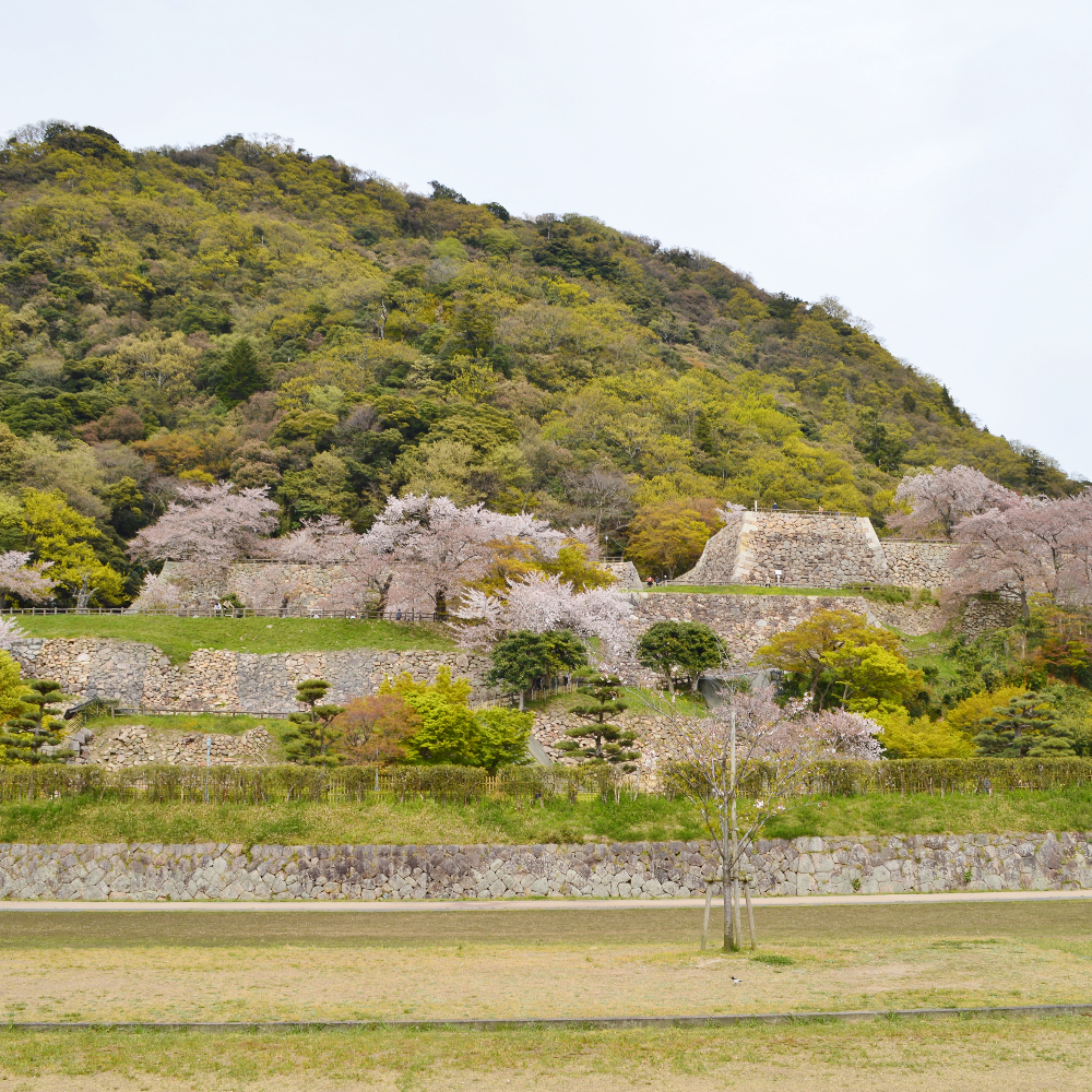 鳥取城跡（鳥取県鳥取市）の写真・外観