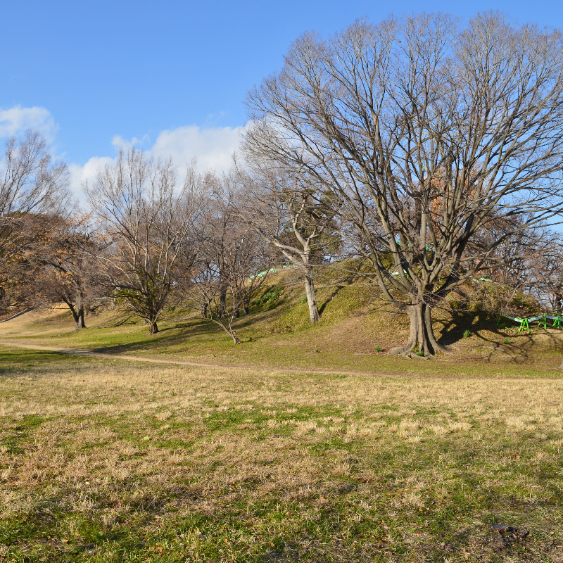 津堂城山古墳（大阪府藤井寺市）の写真・外観