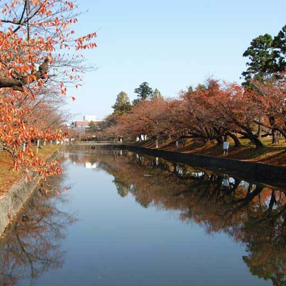 鶴ヶ岡城跡(山形県鶴岡市)の写真・外観