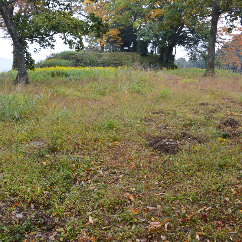 宇陀松山城跡（奈良県宇陀市）の写真・外観