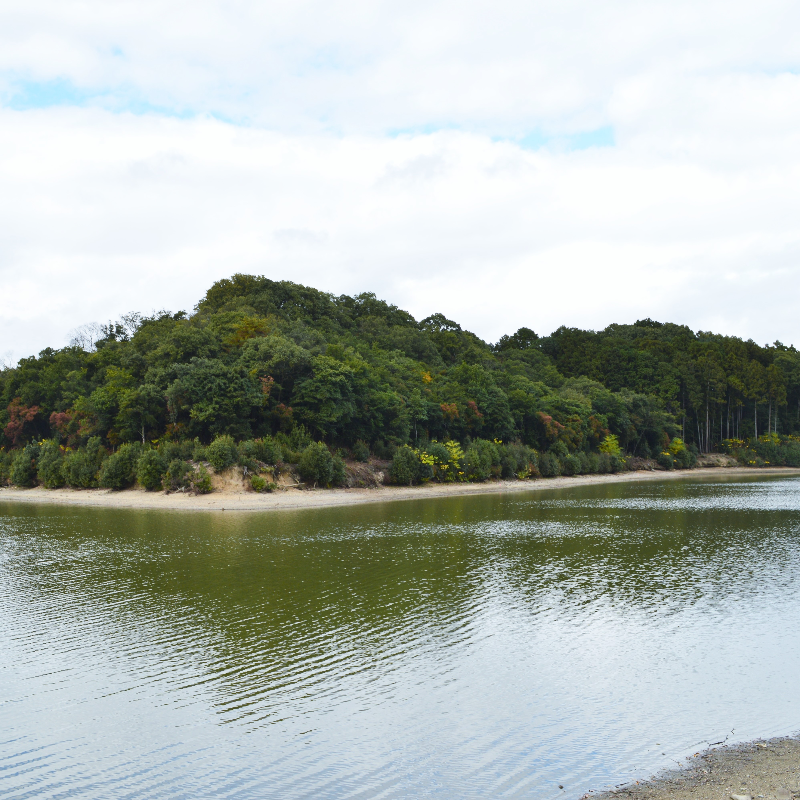 ウワナベ古墳（奈良県奈良市）の写真・外観