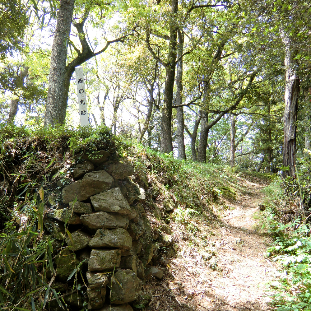 若山城跡（山口県周南市）の写真・外観