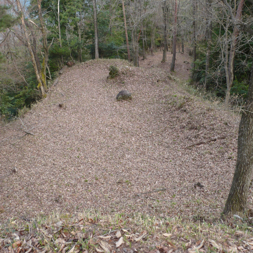八木城跡（兵庫県養父市）の写真・外観