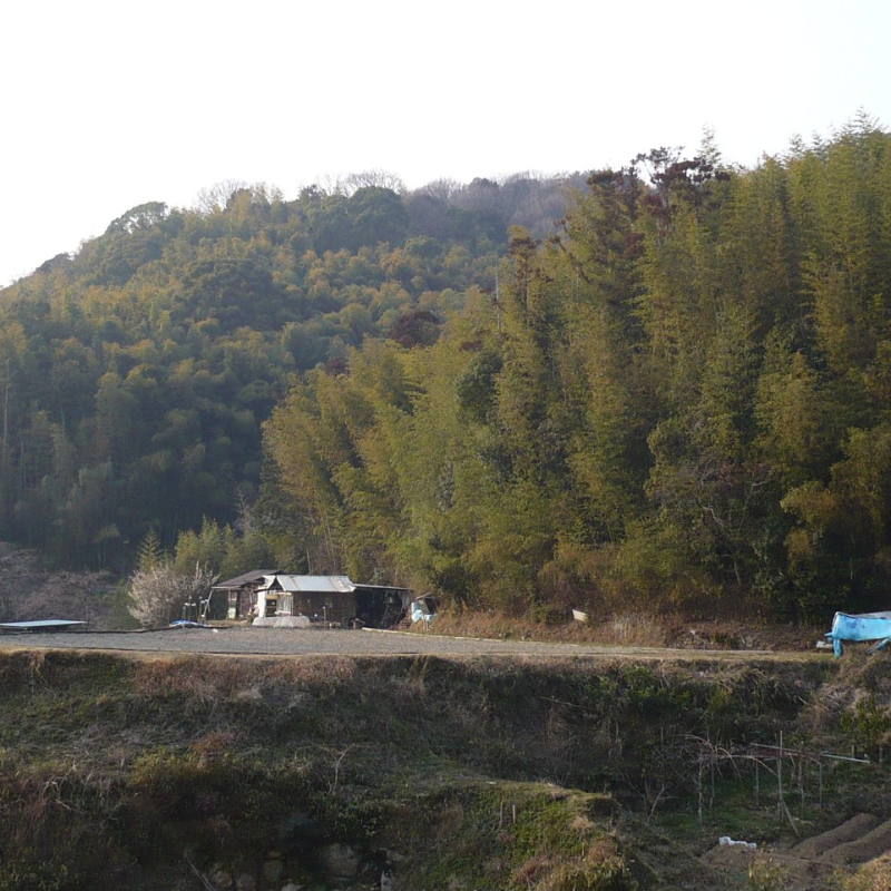 芥川山城跡（大阪府茨木市）の写真・外観