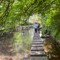 源兵衛川（静岡県三島市）の写真・外観