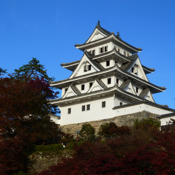 郡上八幡城(岐阜県郡上市)の写真・外観
