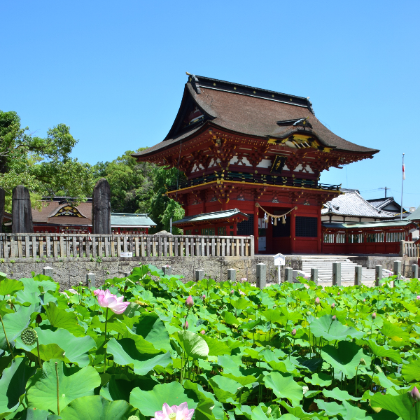 伊賀八幡宮(愛知県岡崎市)の写真・外観