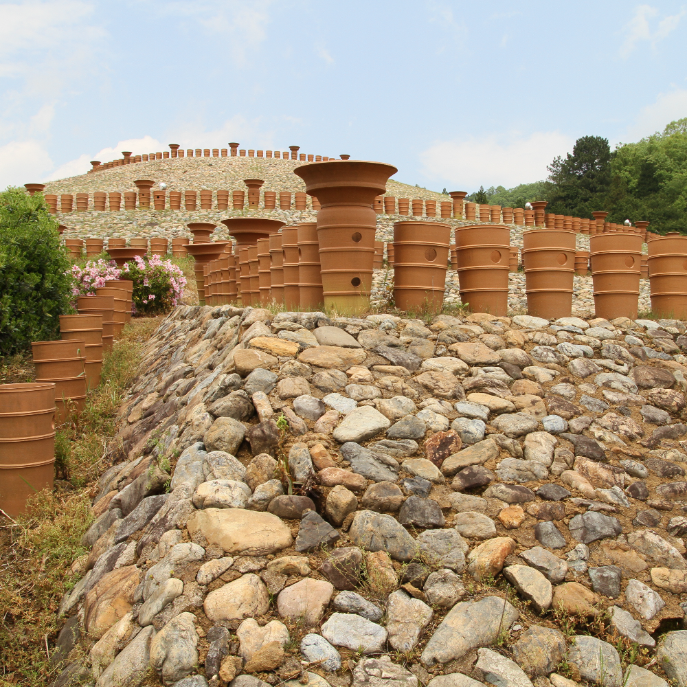 私市円山古墳(京都府綾部市)の写真・外観