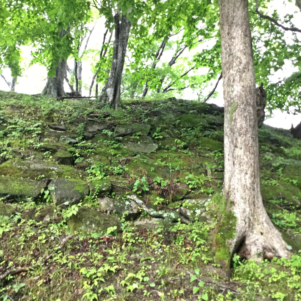 三春城跡（福島県三春町）の写真・外観