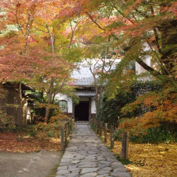 蓮華寺（京都府京都市）の写真・外観